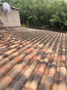 IMG_2278-1-1787301102.jpeg