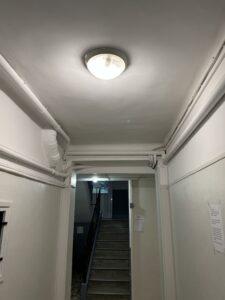 IMG_0247-1789296983.jpeg