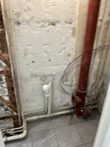 IMG_0254-1789296970.jpeg